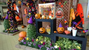 22497156_1478053425606052_1923399515_o