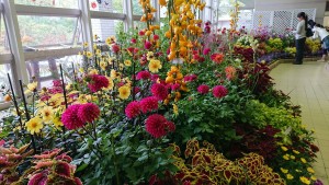 22522559_1478053432272718_296373102_o