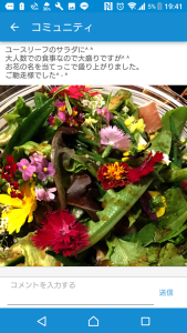 22523919_1478176162260445_1957403118_n