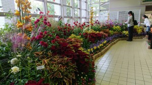 22550741_1478053448939383_1132452685_o