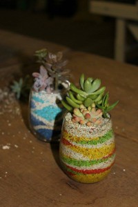 22554395_1480919711986090_1857361742_n