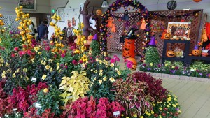 22556202_1478053452272716_263058399_o