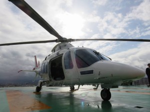 22730574_1485126501565411_4355657473820371527_n