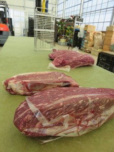 22780312_1489949804416414_3045383138423612308_n