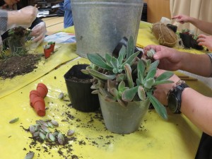 22812592_1487297368014991_1295340146_o