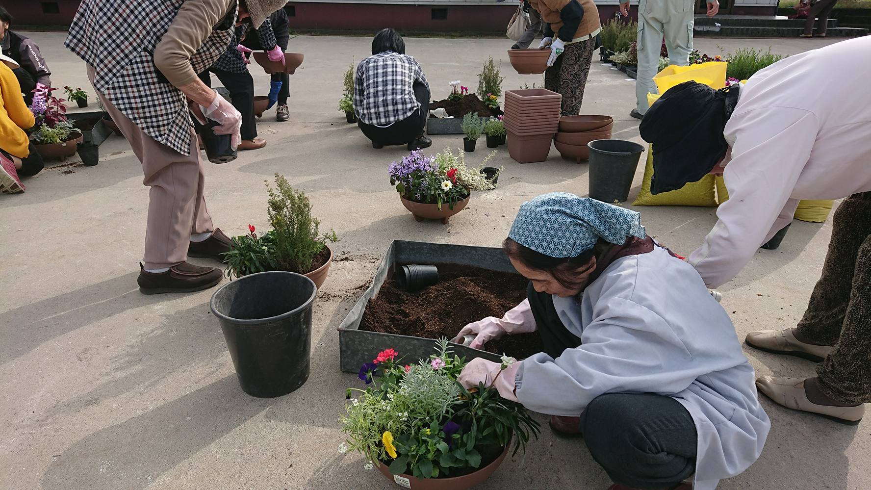 今日も明日もあさっても寄せ植え教室！！