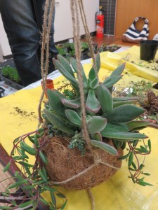 22835496_1487297624681632_1722228298_n