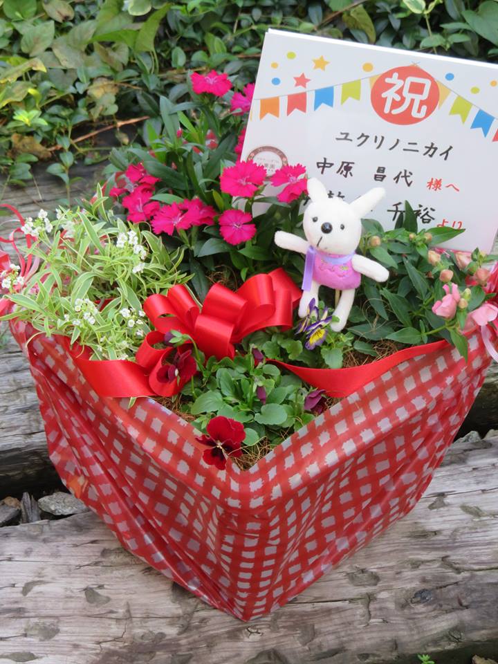 開店祝いに美食花の寄せ植え