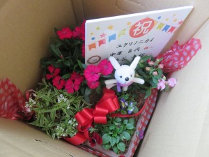 22851366_1488355864575808_1707251564_o