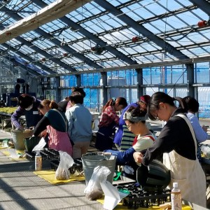 22851914_1492767270801334_659215352152427323_n