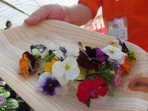 22851948_1489950554416339_6257534065823445127_n