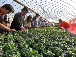 22853349_1489950504416344_8057542264018250465_n