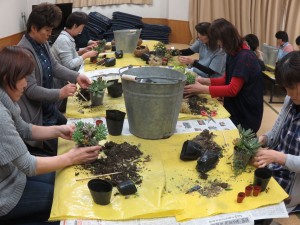 22878992_1487297374681657_230546280_o