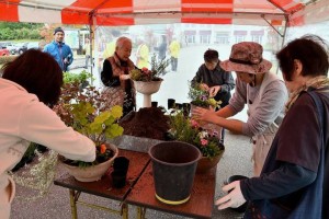 22885978_1491606477584080_4801812564337397394_n