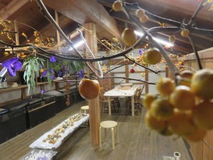 22886240_1489950691082992_8243761395456612805_n