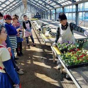 22894464_1492767207468007_2487151365402040949_n