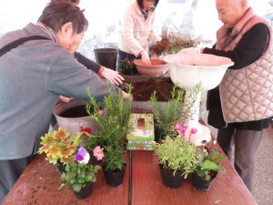 22908560_1491071130970948_650733058_o