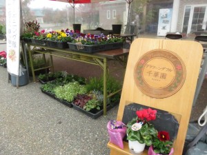 22908638_1491071230970938_1514167899_o