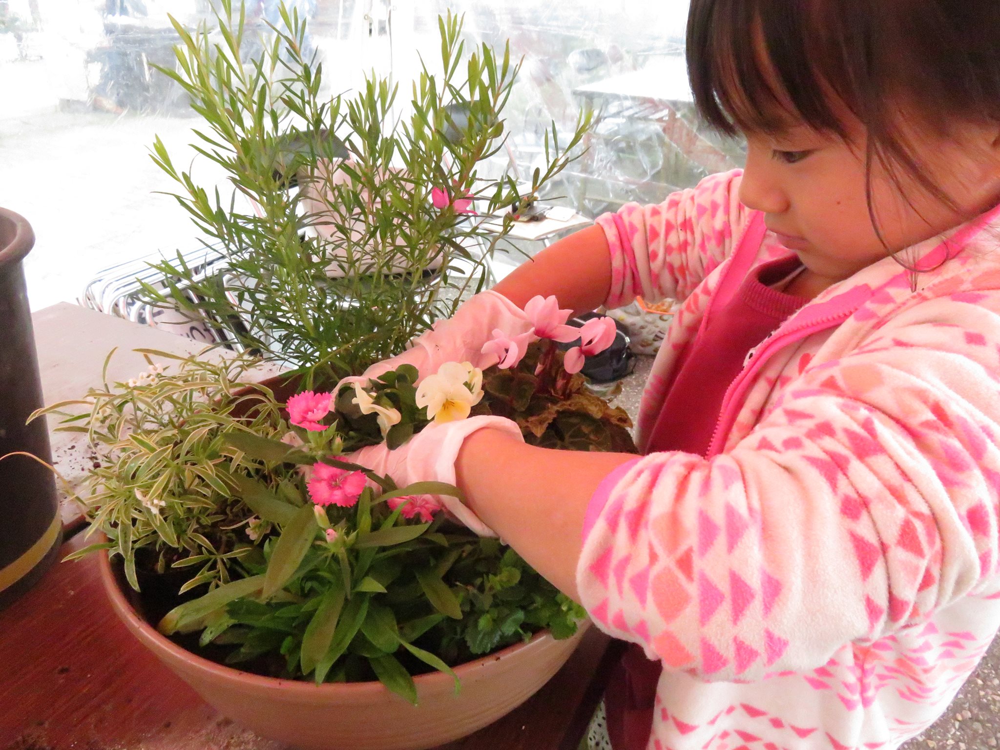 今年も彩菜まつりでガーデニング隊！！