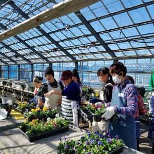 23131661_1492767234134671_6692371666097183939_n