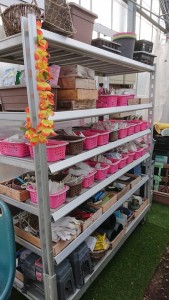 21767481_1453687398042655_121361908_n