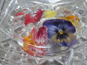 22852062_1503812296363498_3930917753151537716_n