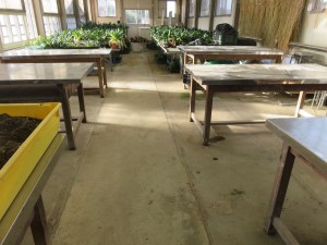 23157891_1494395293971865_2024907041_o