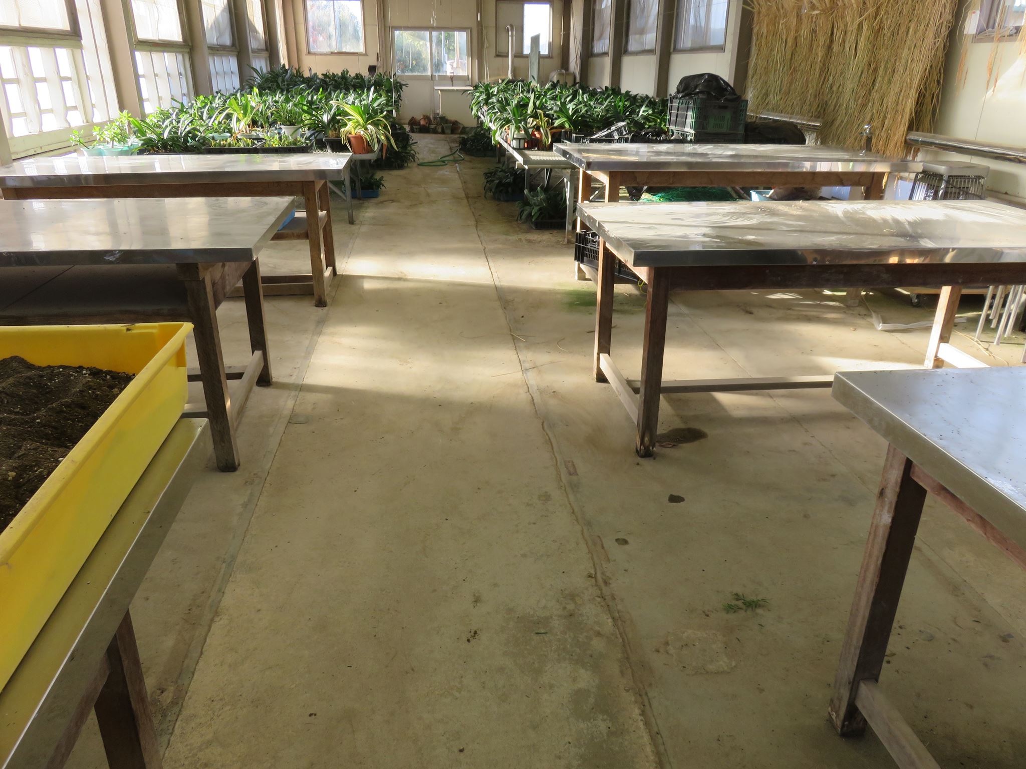 小矢部園芸高校へ非常勤講師(笑)