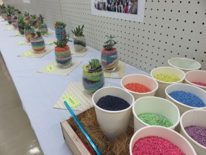 23313420_1498414686903259_1566807875_o