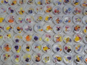 23376073_1503812266363501_7439147758932872161_n