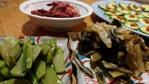 23379654_1499880346756693_1344312263_o