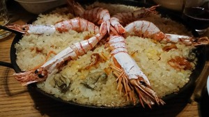 23423419_1499880213423373_1064271372_o