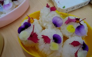 23472929_1012077168935469_996012394044345364_n