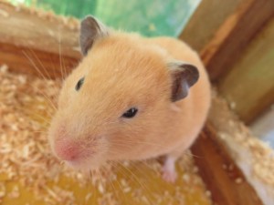 23472982_1504429689635092_7529036063677323549_n