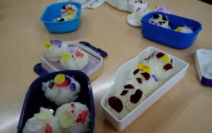 23473212_1012077188935467_7175709313079691820_n