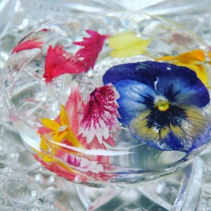 23517549_1504430106301717_6152160347520062221_n