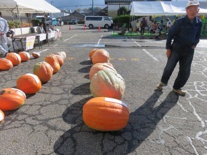 23519113_1504429866301741_9995608170360411_n