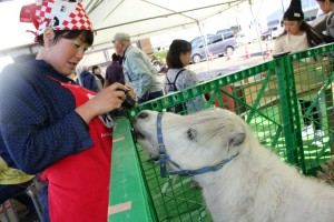 23599971_1506112269466834_126770665_o