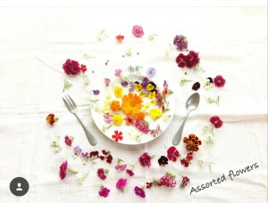 23714903_1510206569057404_1197280550_o