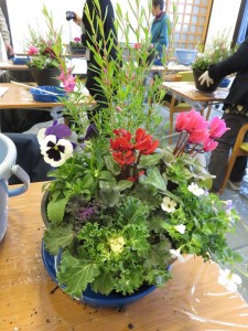 23758168_1511810398897021_1165597288_n