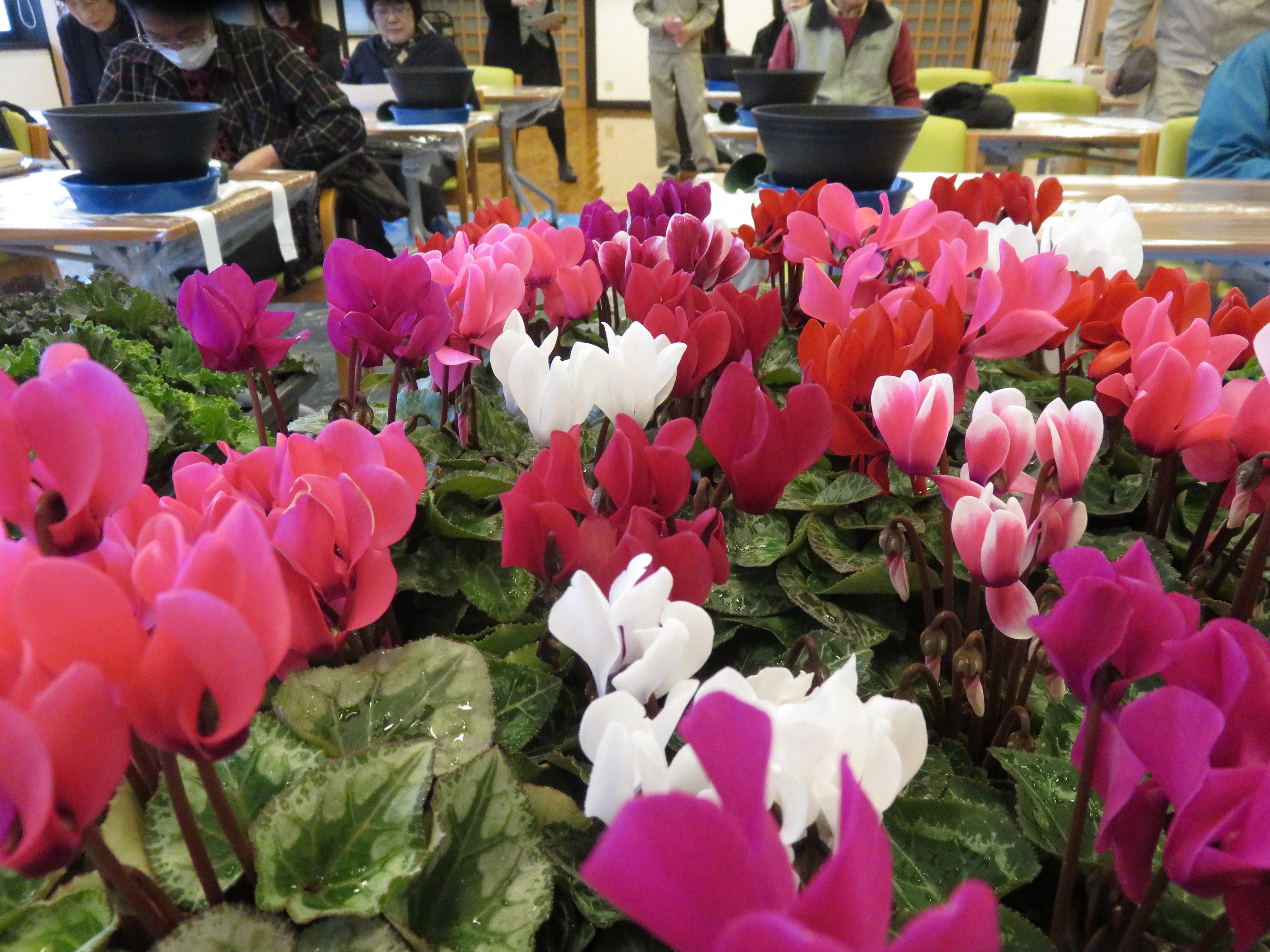 出張寄せ植え教室♪