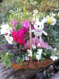 23782126_1513874535357274_545943266_n