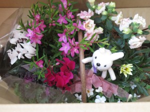 23825876_1513874445357283_1373610507_o