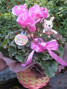 24008759_1518332418244819_148334802_n