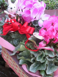 24008842_1518332578244803_508071027_n