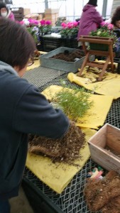 24099010_1519774761433918_1681132159_n