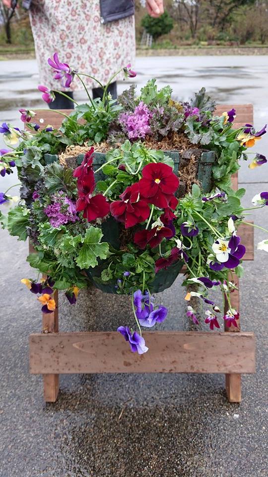 今月の「JOY☆ガーデニング隊」