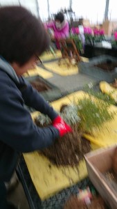 24172007_1519774771433917_737121730_n