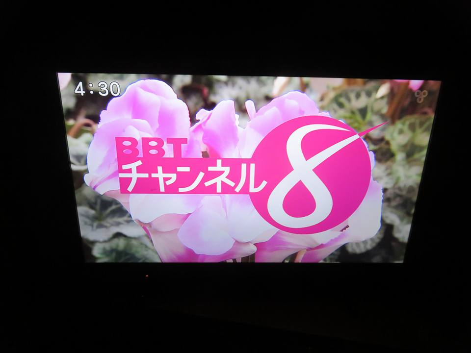 シクラメン続報！！(笑)