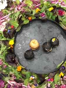 24337168_1525916790819715_1001771145_n